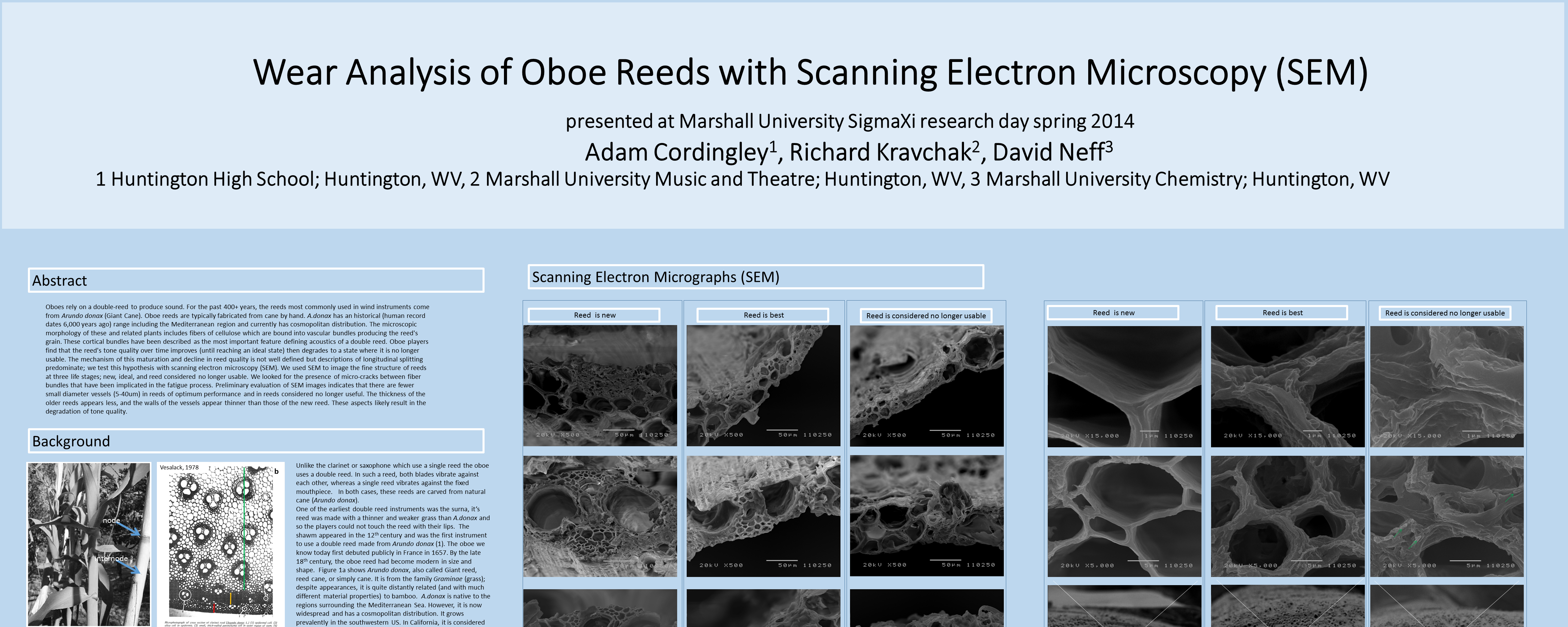 Wear Analysis of Oboe Reeds (click for poster)